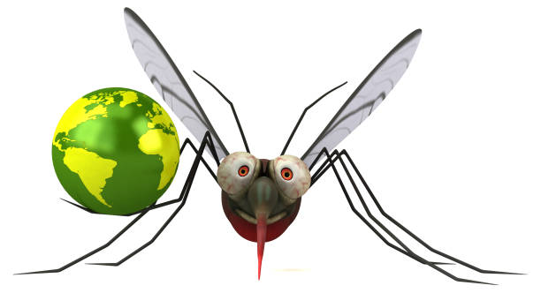 Tantangan Pemberantasan Malaria di Berbagai Negara